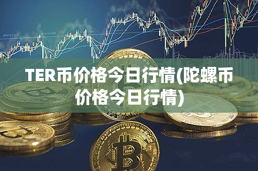 TER币价格今日行情(陀螺币价格今日行情)第1张-链盟网