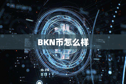 BKN币怎么样